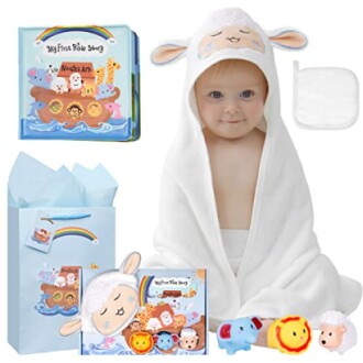 My First Noah's Ark Gift Set